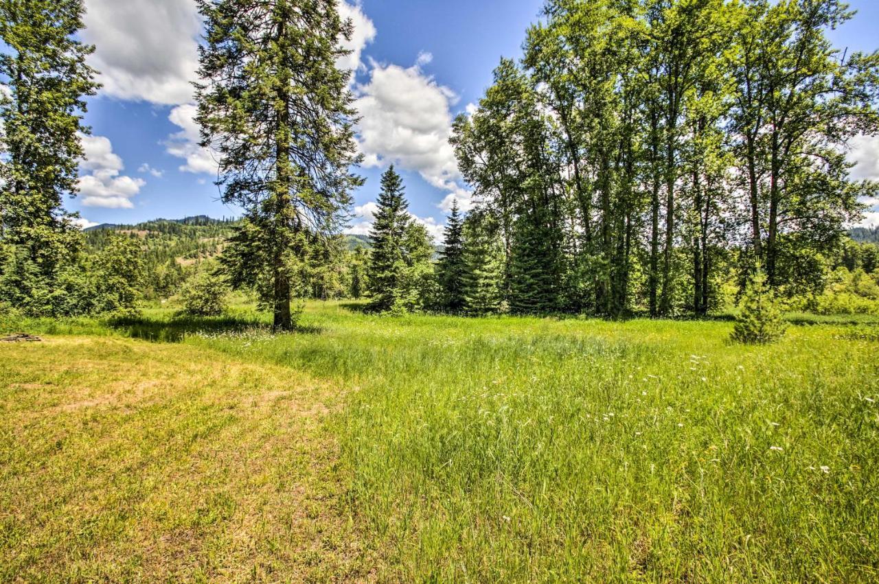 Private 2-Acre Retreat With Mtn Views, Walk To River Saint Maries Exteriér fotografie
